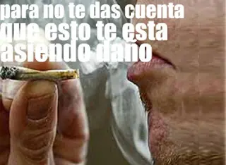 salud