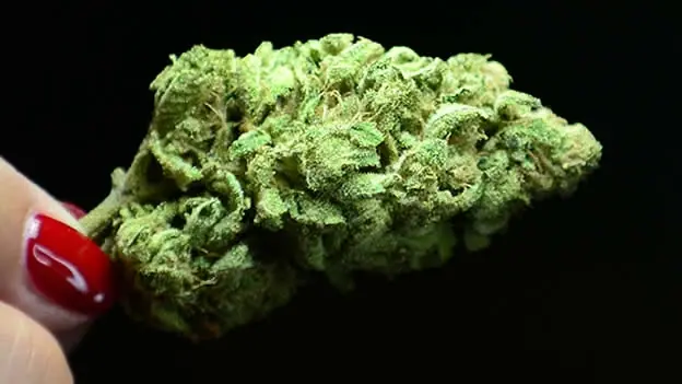 ¿Porque la marihuana hace daño?