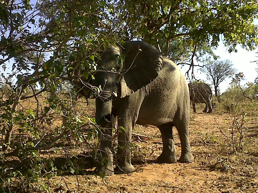 aventura africa sudafrica