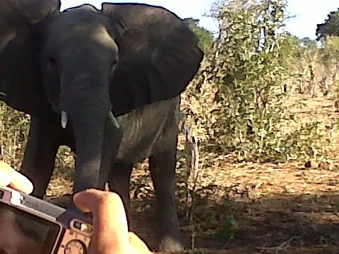 aventura africa sudafrica