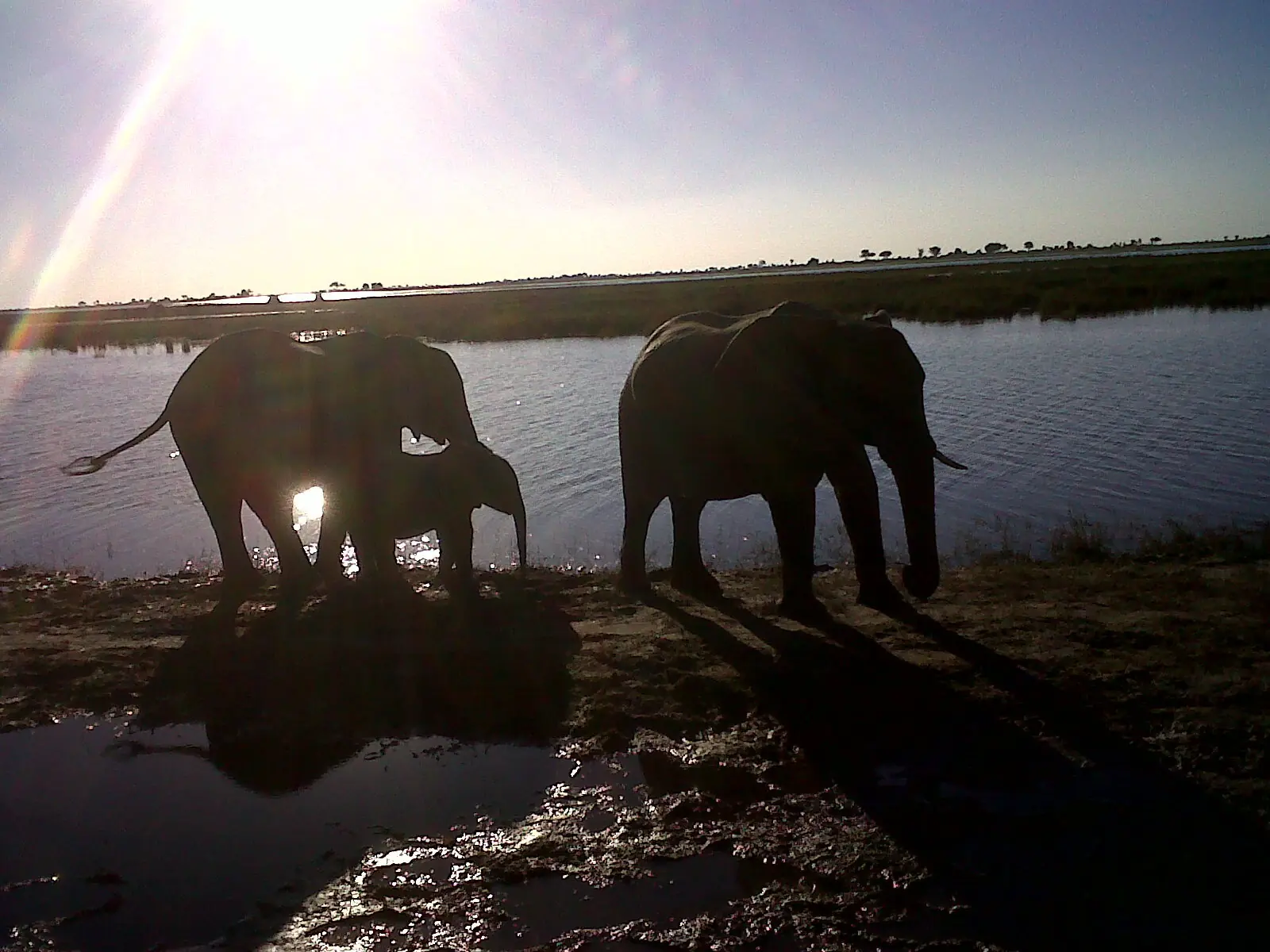 aventura africa sudafrica