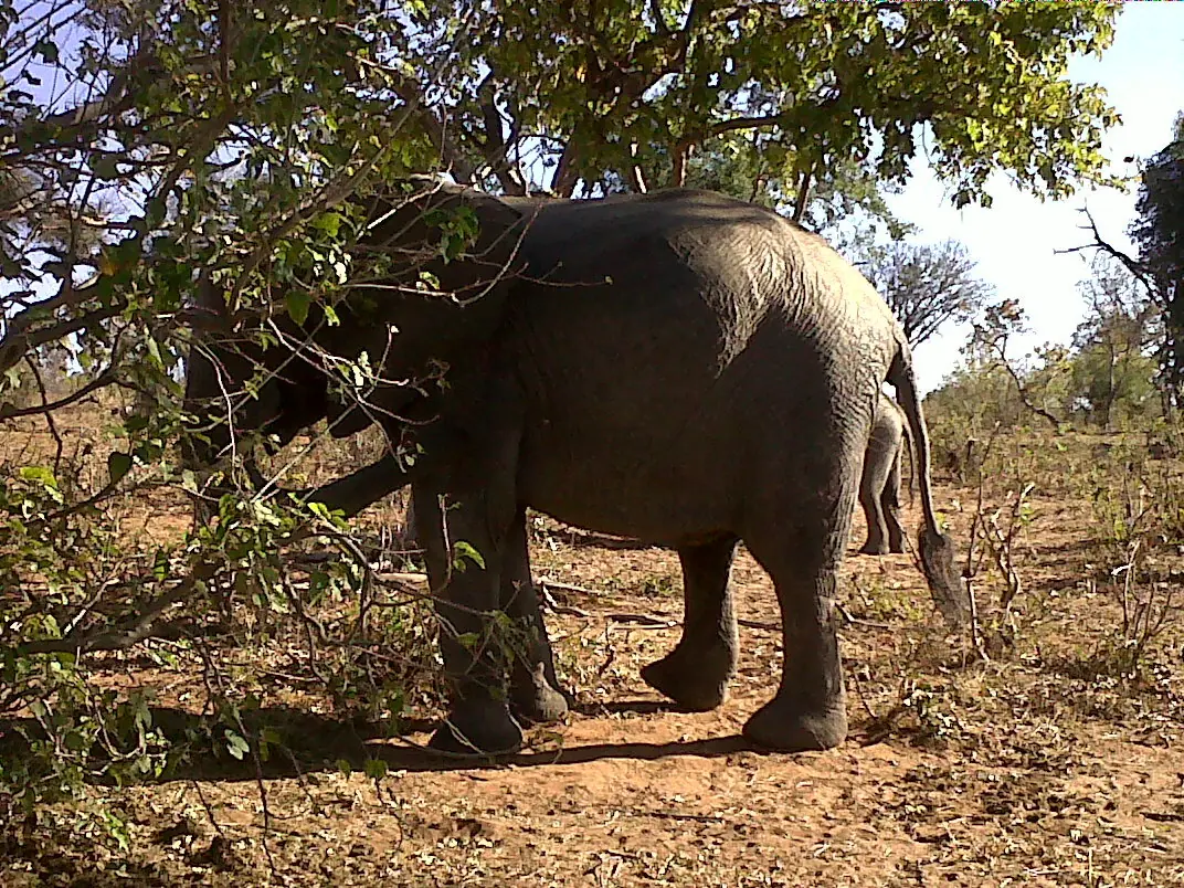 aventura africa sudafrica