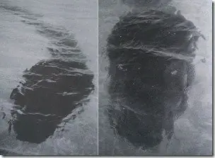 Google Earth fotografía monstruo marino de 800 mts de largo!