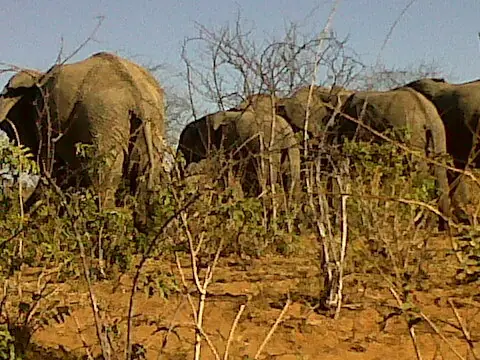 aventura africa sudafrica