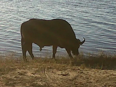 aventura africa sudafrica
