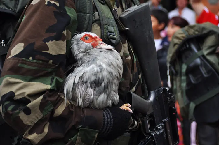 Fuerzas Armadas de Paraguay