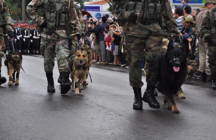 ejercito paraguayo