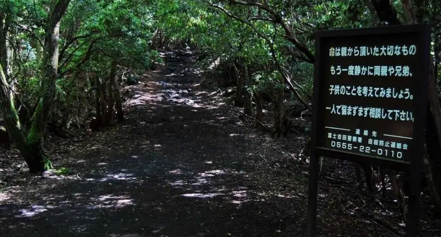 El aterrador bosque de los suicidios ahokigahara