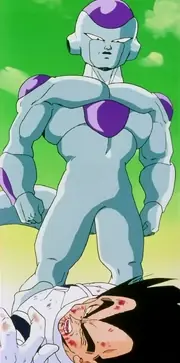 ball ball