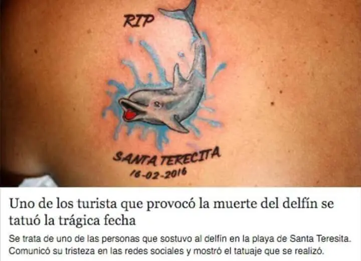 Desmienten que los bañistas de una playa argentina ...