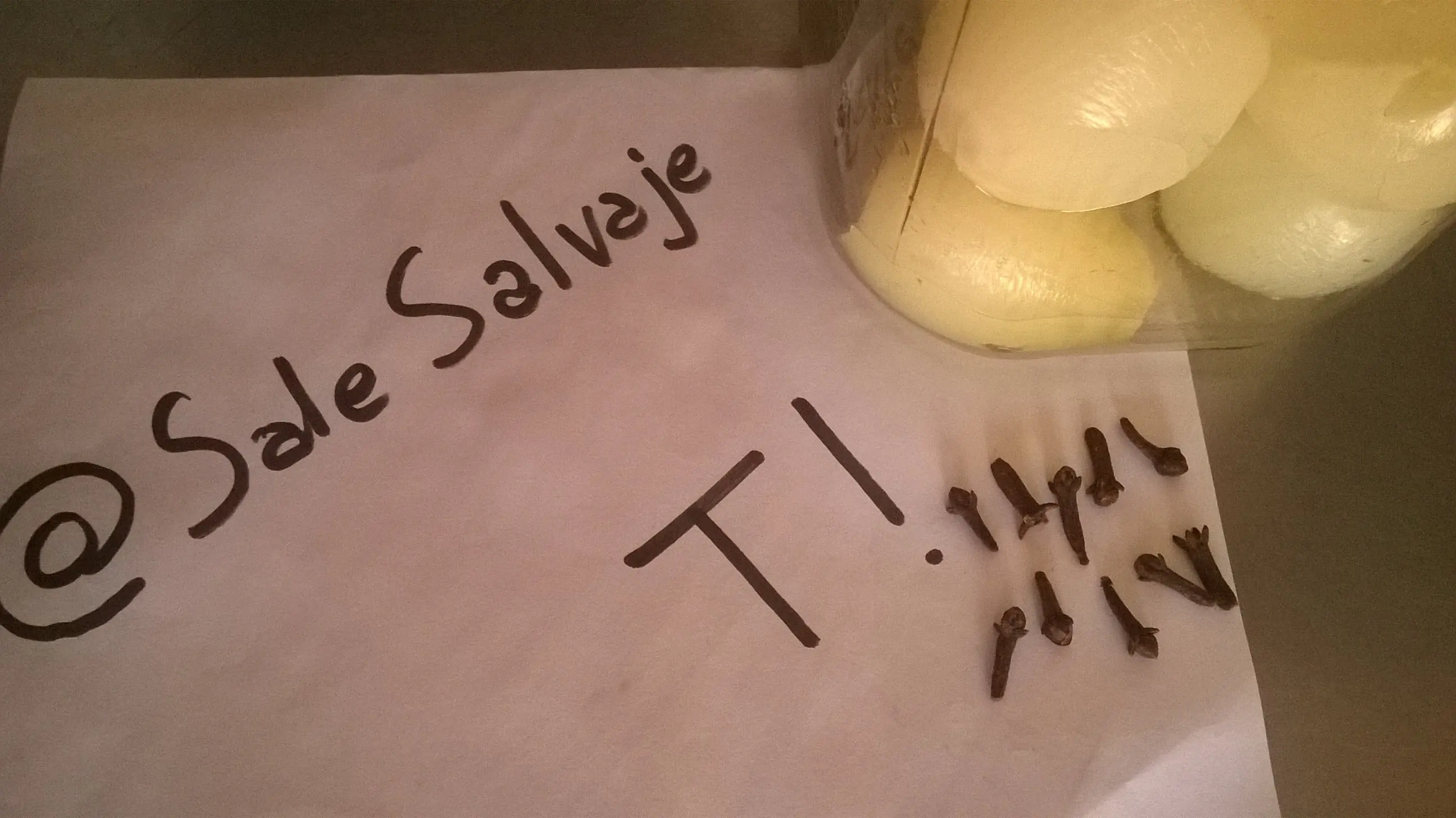 Mi Receta de Cebollas en Vinagre