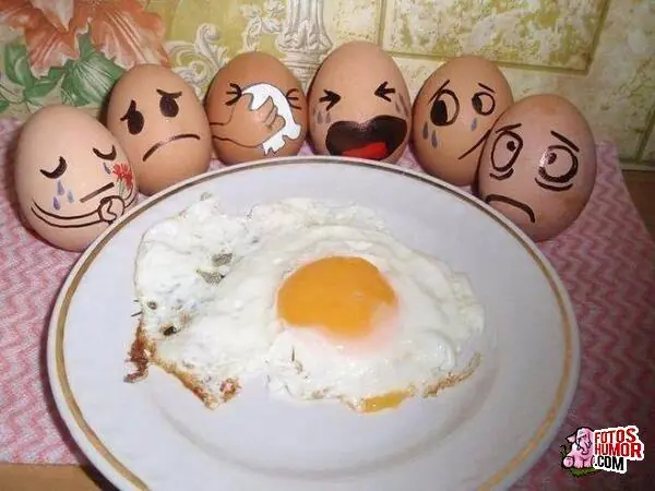 comida
