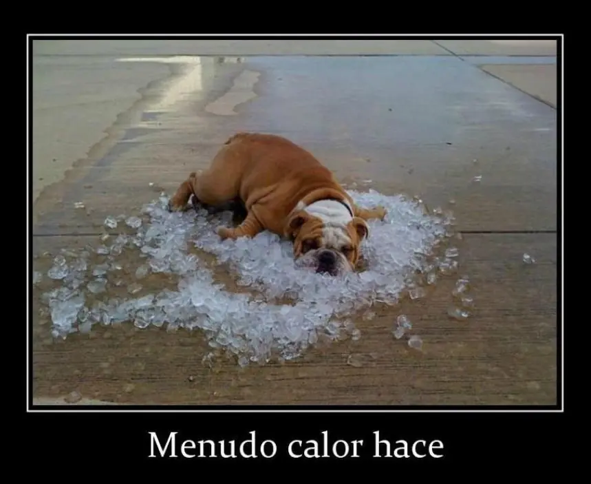 imagenes