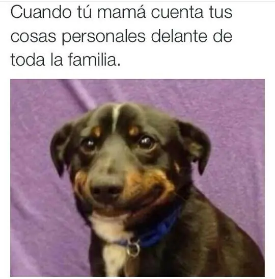incomodos