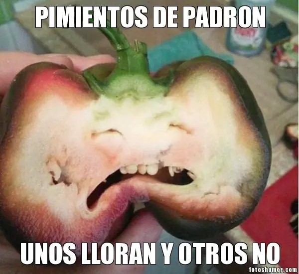 Imágenes graciosas de comida