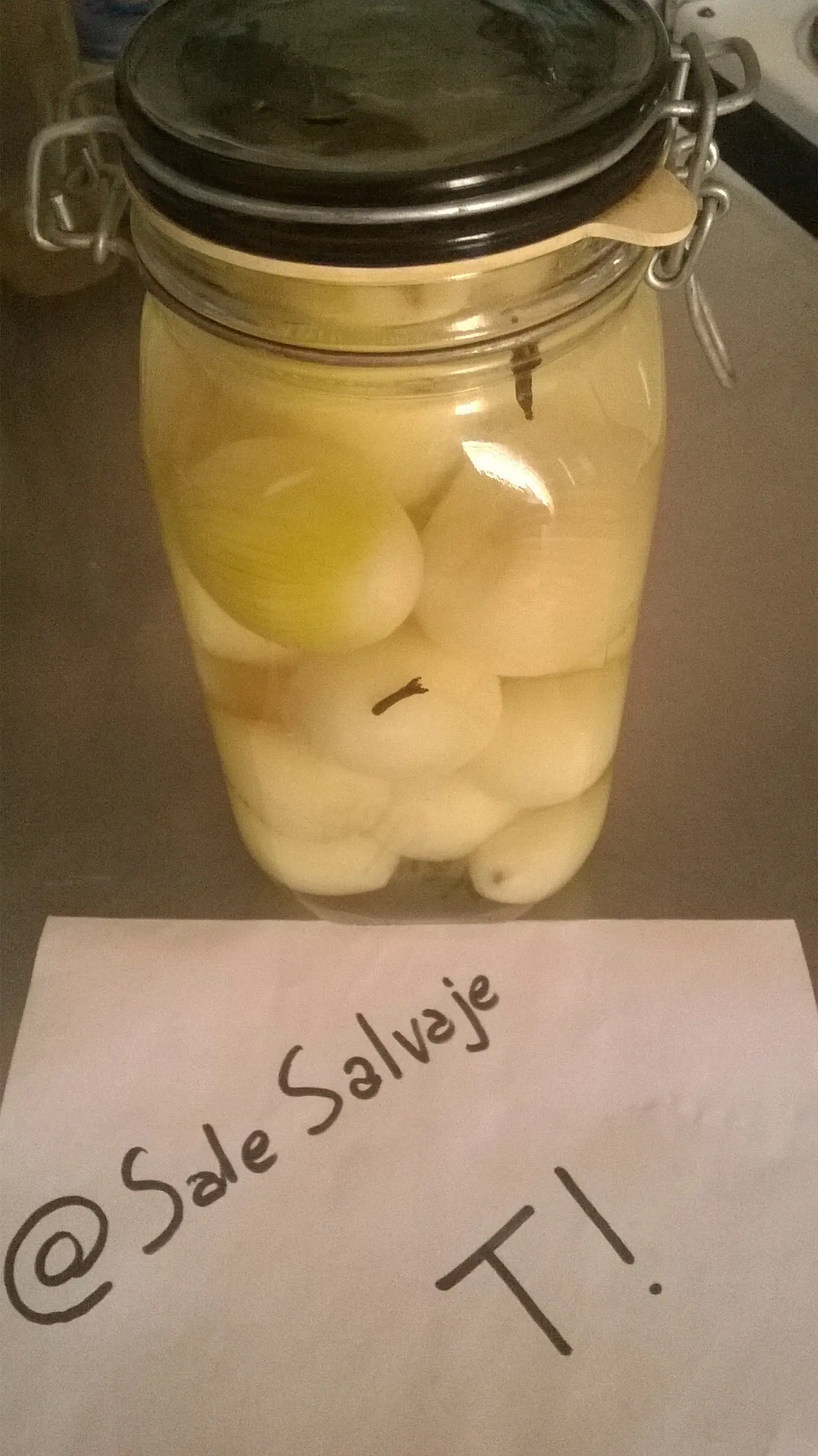 Mi Receta de Cebollas en Vinagre