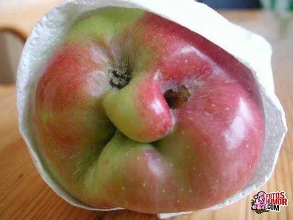 Imágenes graciosas de comida