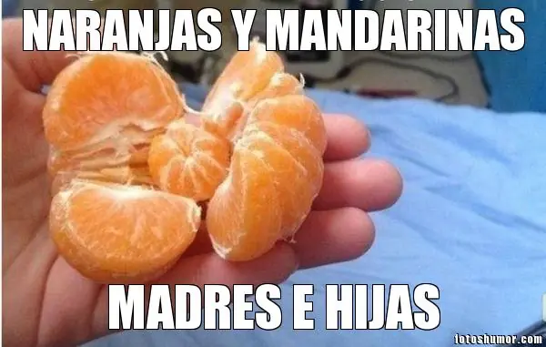 arte