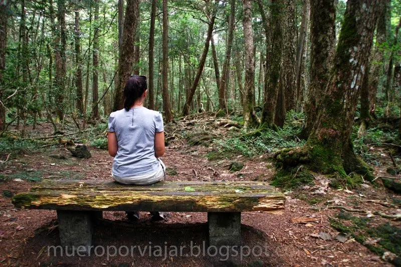 bosque