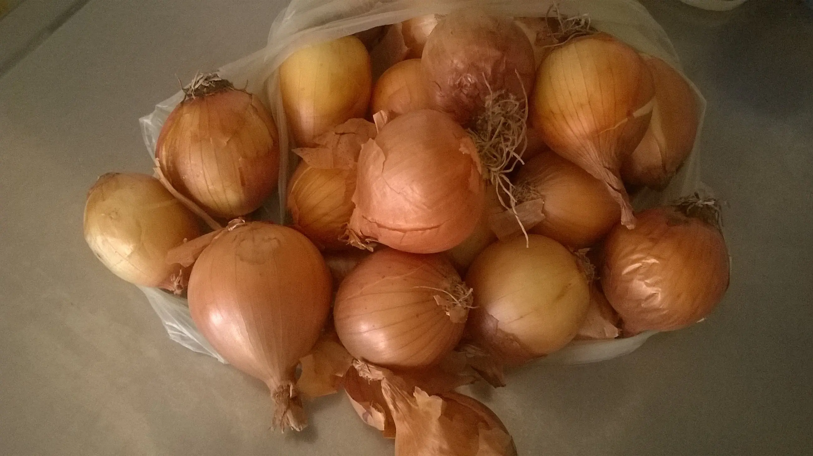 cebollas en vinagre