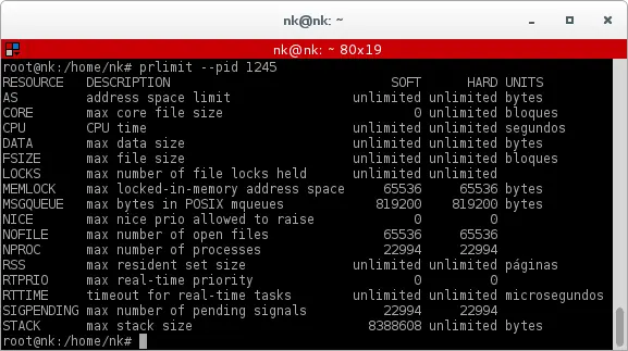 ¿Qué y cuantos recursos consume una aplicación en Linux?