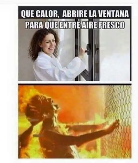 Imágenes,gifs y memes sobre la ola de calor