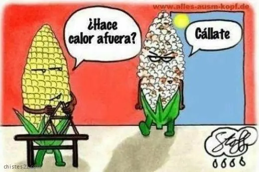 Imágenes,gifs y memes sobre la ola de calor
