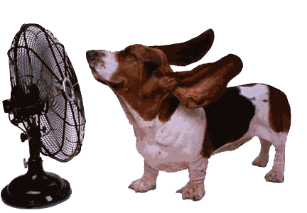 ola de calor
