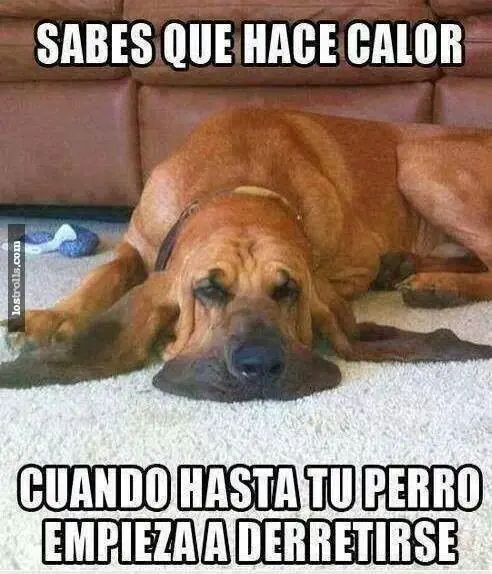 altas temperaturas