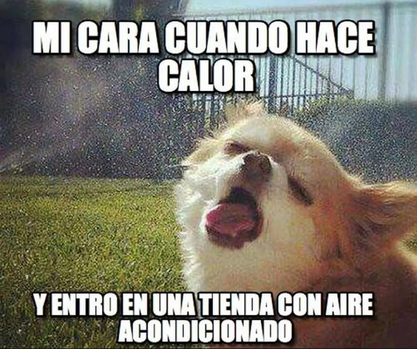 ola de calor