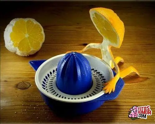 comida
