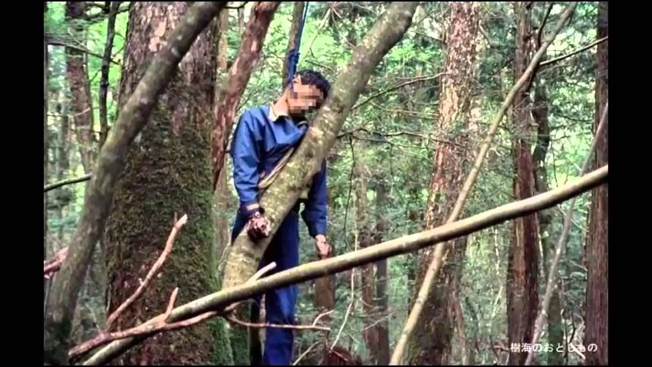 El aterrador bosque de los suicidios ahokigahara