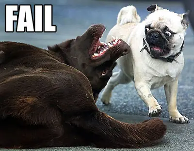extreme fail