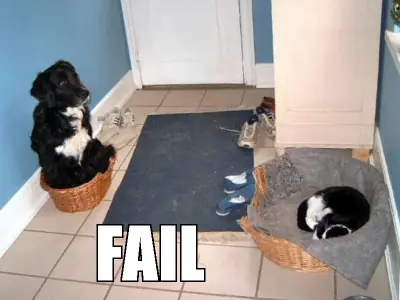 imagenes fail