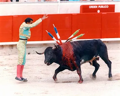Corridas y Jineteadas