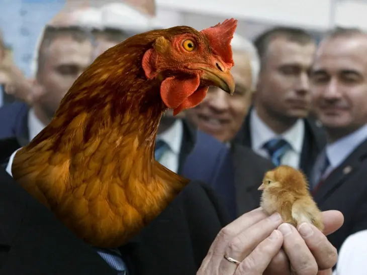 guerra de photoshop