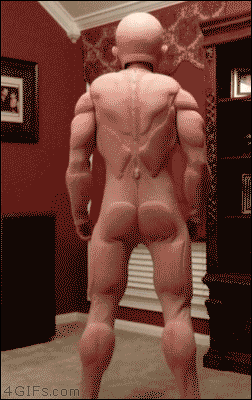 Los Gifs
