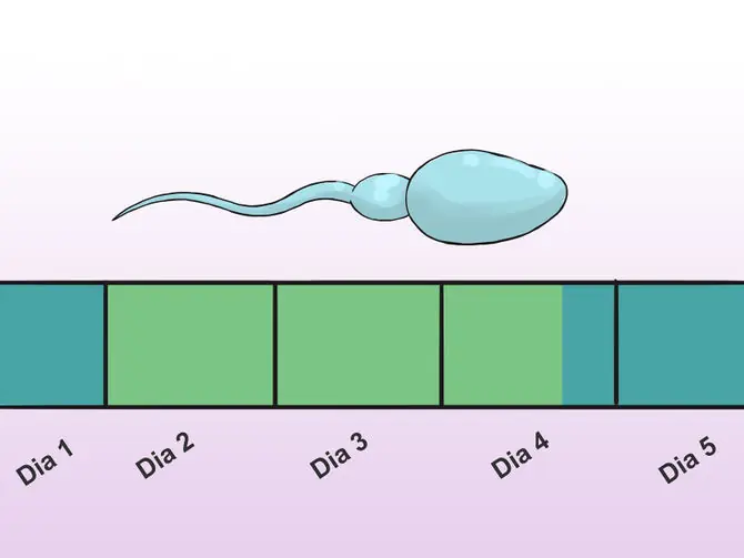mensutracion