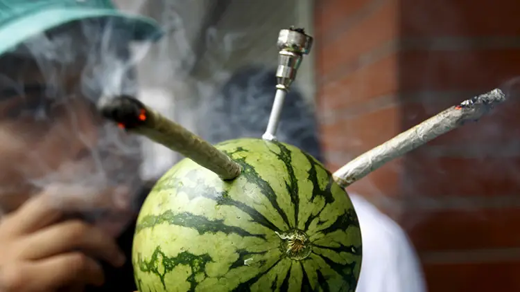Cannabis