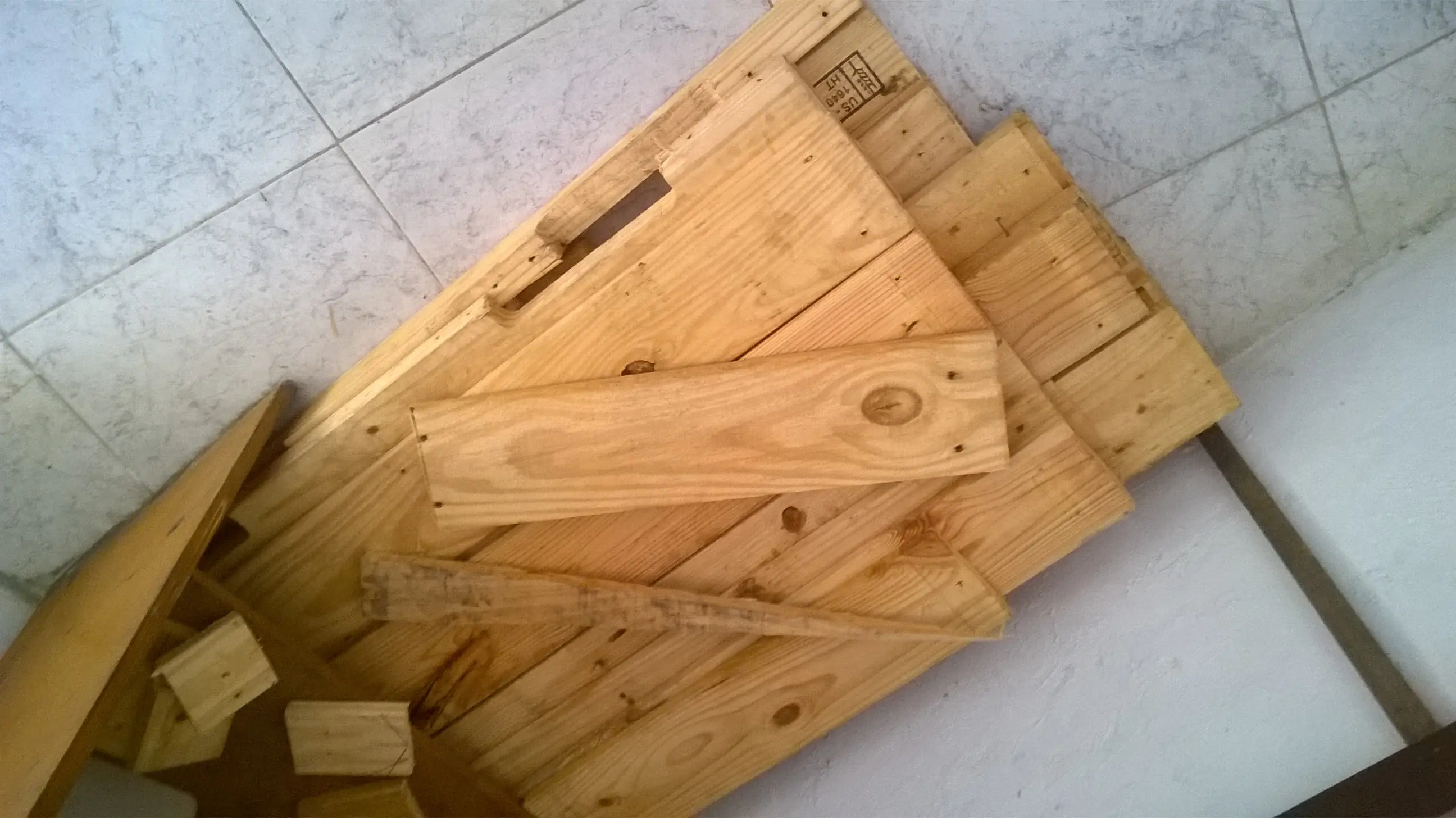 inteligencia colectiva