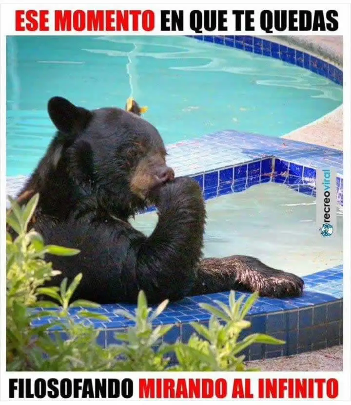 divertidas