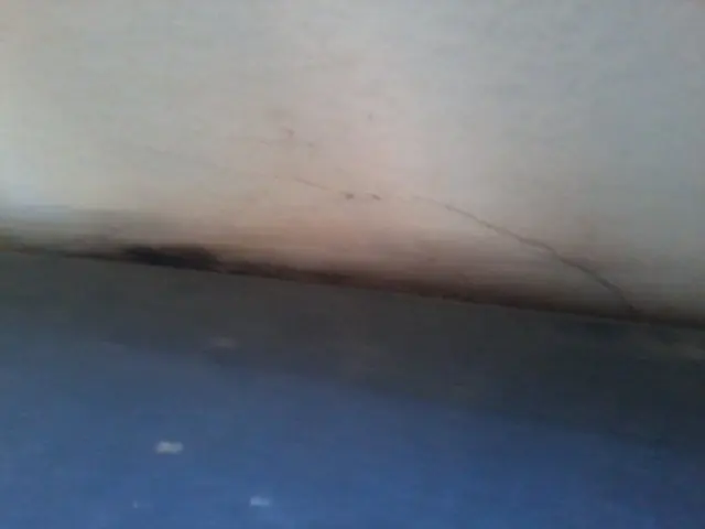 humo