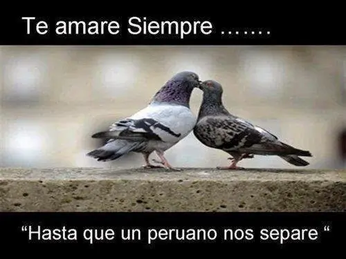 recomendado recomendado