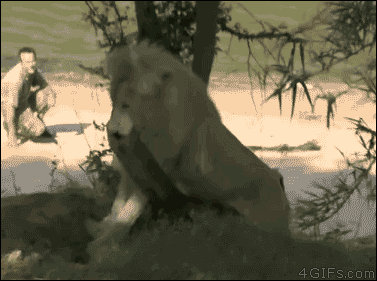 Los Gifs mas Divertidos pasa que te saco una Sonrisa 75º