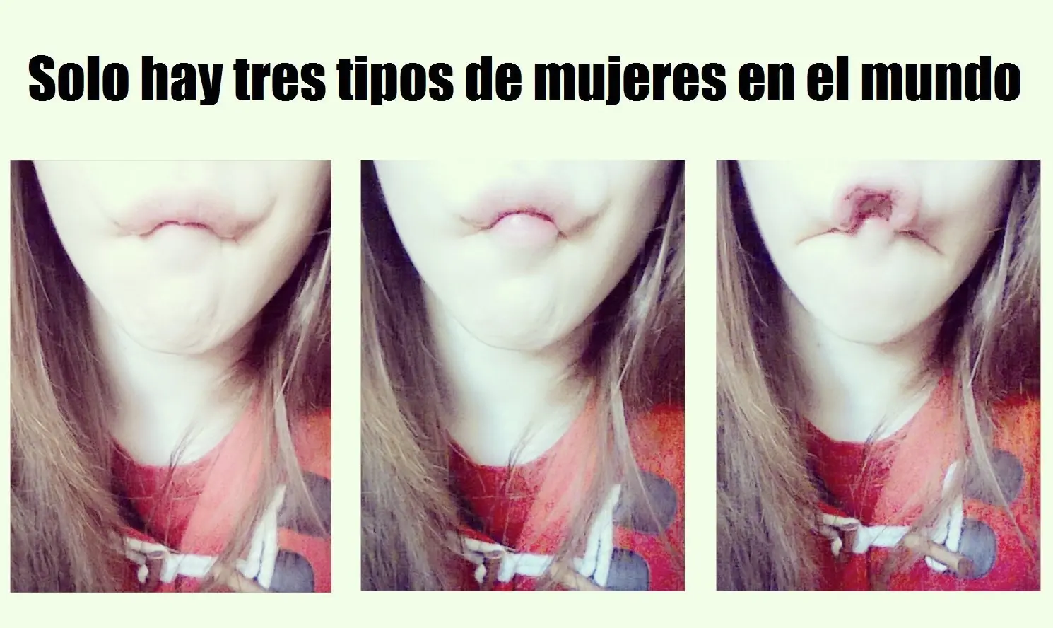 martes martes