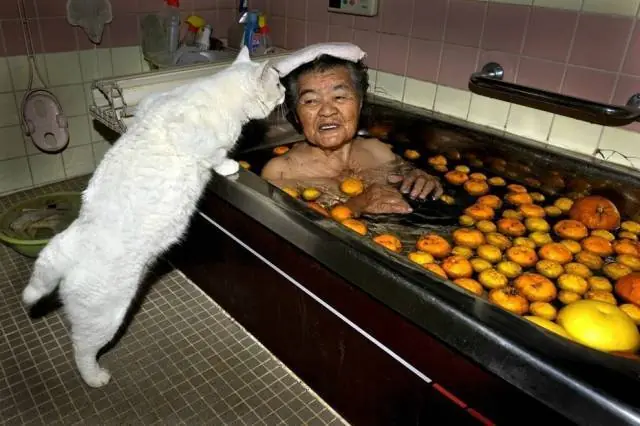 imagenes