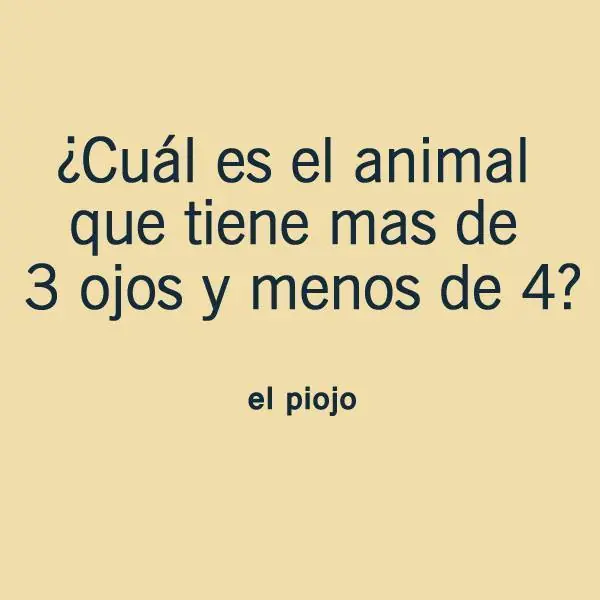 martes martes
