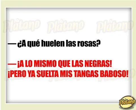 Humor de martes (Parte 5) y algo más. Pásate. Humor de martes (Parte 5) y algo más. Pásate.