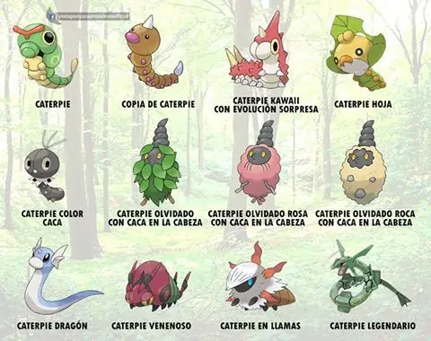 imagenes imagenes