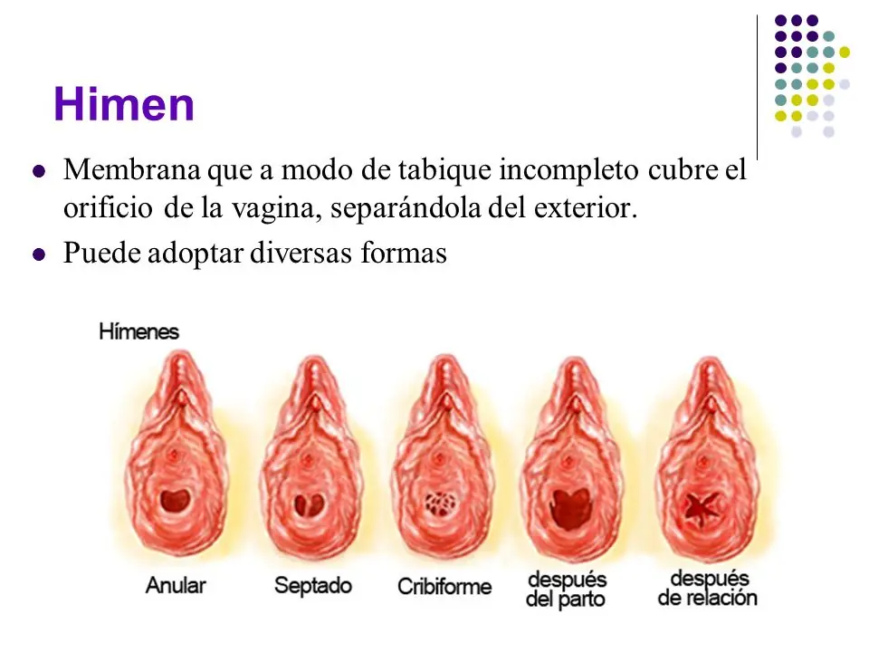 virgen